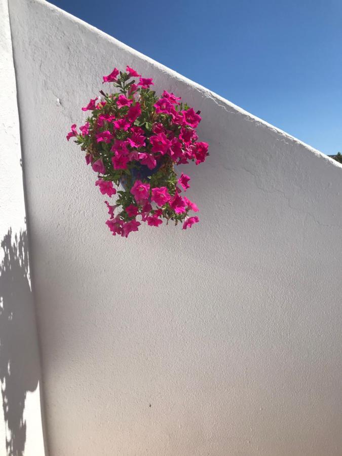 Bonita Casa Adosada Empuriabrava Exterior foto